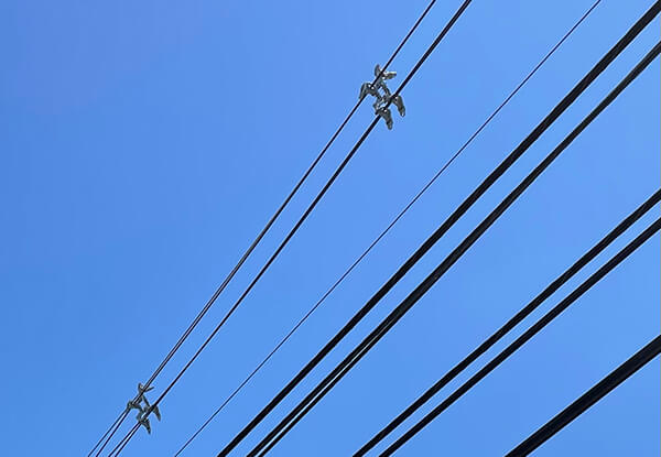 Spacer Cable / Tree Wire